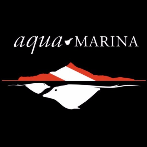 Aqua-Marina is the Premier PADI 5* Dive Centre in Tenerife. Specialising in diving excursions, recreational dive courses and top-level professional training