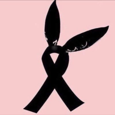 @JustinBieber @LittleMix @ArianaGrande @selenagomez @Fifthharmony @shawnmendes @DNCE @Austinmahone