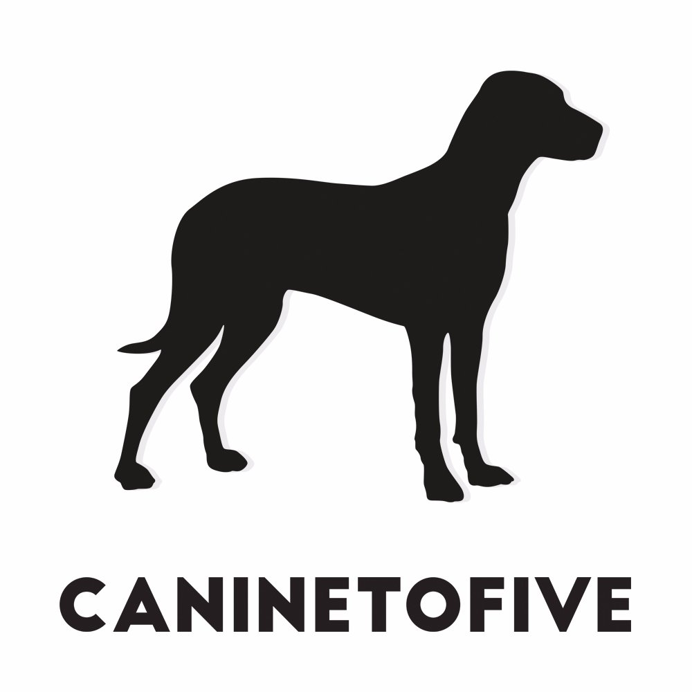 Reliable,friendly & professional dog walking & pet care service covering Loughton, Buckhurst Hill & Woodford.Fully insured.Canine first aid trained.DBS checked