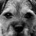 alison bytheway (@alisonjb) Twitter profile photo alison bytheway (@alisonjb) Twitter profile photo