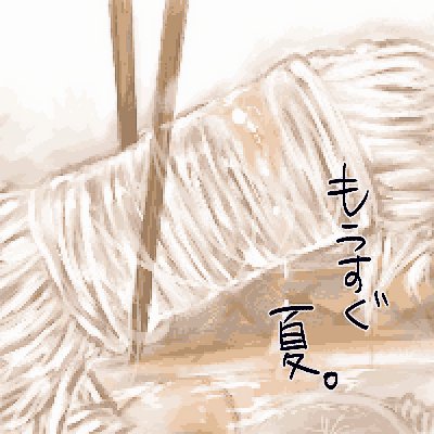 しらたきさんのプロフィール画像