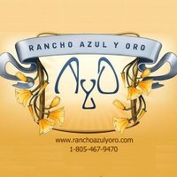 Kathy(@ranchoazulyoro) 's Twitter Profile Photo