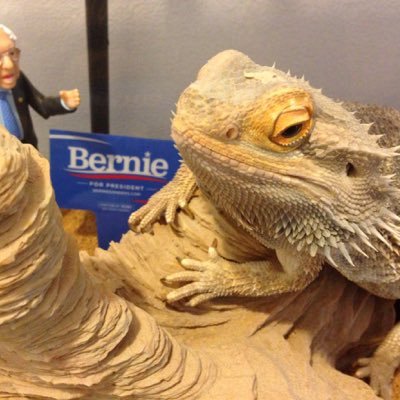 lockheed_b's profile picture. 