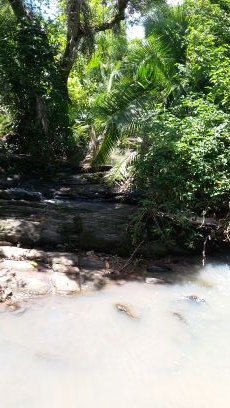 dunwatts2013's profile picture. Technology & Science International Technology News Music News Entertainment