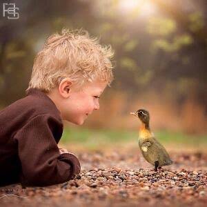 AamirRahil's profile picture. a simple soul who believes Everything Happens for Good