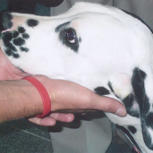 JamesWoods115's profile picture. Christian, widower, an engineer, interested in politics, sports and Travel.🇺🇸🇺🇸,