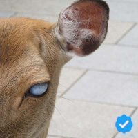 Jan Van Assche (@instajan66) 's Twitter Profile Photo