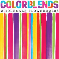 Colorblenders (@colorblends) 's Twitter Profile
