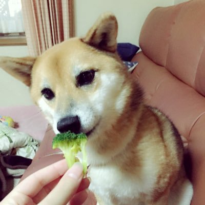 c499_shizu's profile picture. Disney🐭💟🐭