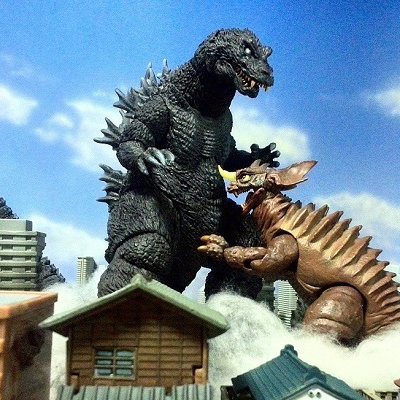 パンチひよこ(怪獣撮る人)さんのプロフィール画像