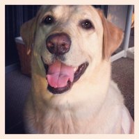 linda menz (@linneysue) 's Twitter Profile