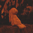 chripso's profile image