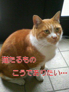 ananplayer's profile picture. AN×ANたまにやってます。見かけたらお手柔らかにお願いしますm(__)m　#AnxAn　絡みの方は随時フォローしていっております。