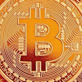 bitcowin's profile picture. Please Foll Back , Thanks