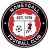 MoneygallFC's profile picture. Moneygall Football Club promoting soccer in the Moneygall area with schoolchildren and adult teams competing in North Tipperary