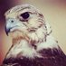 ابونايف عدن (@jvozo1sdevahedb) Twitter profile photo ابونايف عدن (@jvozo1sdevahedb) Twitter profile photo