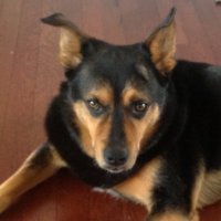 Seema (@sbyrnethd) 's Twitter Profile