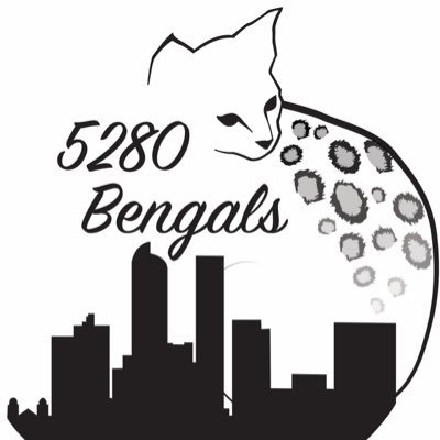 5280Bengals's profile picture. 