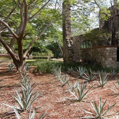 Tengo un buen carácter. Ciencia Deportes México Noticias Política