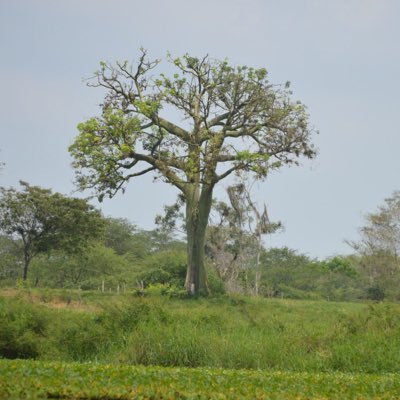 Conozca los eventos y actividades de El Oro - Ecuador, además mostramos la riqueza turística de sus 14 cantones. Un producto de @MachalaMovil