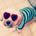 A Little Bit Funny (@alittlebitfun) Twitter profile photo A Little Bit Funny (@alittlebitfun) Twitter profile photo