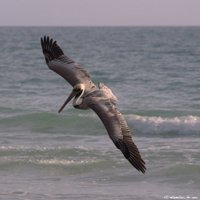 HDrelaxation for you (@hdrelaxation4u) 's Twitter Profile