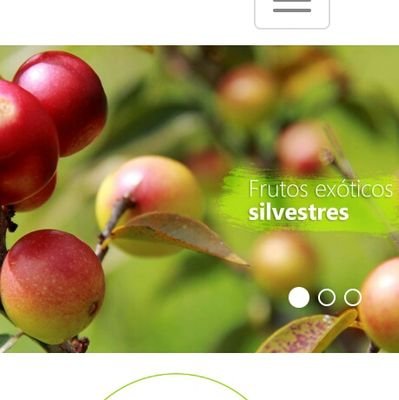 SelvaVivaCo's profile picture. Productos exóticos sostenibles de la Selva Amazónica y Orinoquía. Frutas, pulpas, resinas, aceites.
Cel: +57 3162331827
Instagram: @selvavivac