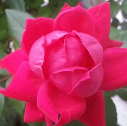 doyoutamarinds's profile picture. Do You?