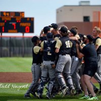Tiger Baseball (@lshsbaseball) 's Twitter Profile