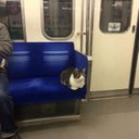 Dawn Abraham - @DawnAbraham5 - Twitter