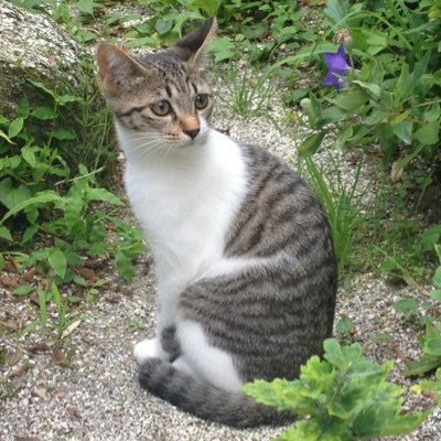 茨城の北地区を拠点に、ミニ四駆してるものです\(//∇//)\ ユックリまったりミニ四駆とポケモンGOを楽しんでます♪