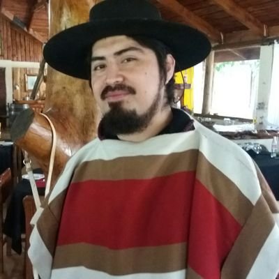 wenupix's profile picture. I am chilean/mapuche, computer engineer, [Arch]Linux user. SysAdmin, DevOps. 👍Life, liberty and property🐍