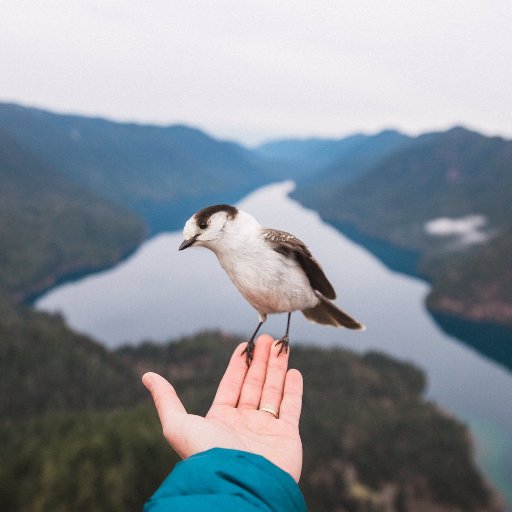 5144172f's profile picture. 