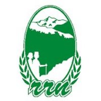 RRN(@RRNNepal) 's Twitter Profile Photo