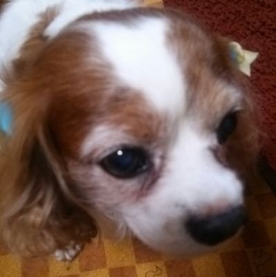 アクシズ教徒1号さんのプロフィール画像