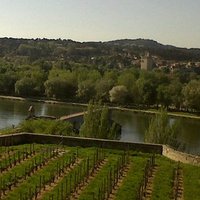 Avignon le Ouf! (@avignonouf) 's Twitter Profile