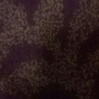 مبادل وسالب رجولي (@s5etaxkrmgchb7v) Twitter profile photo