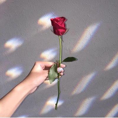 🌹関係の情報を無限回収中です。【出戻り】(お👀あ✋→🌹❤️)関連全て需要あり🙆. ✋餅は少ないですが、関係者のため樹🍃ありそうなエピございます。✍️３やスパ🛁協力します。頂いた🎥あります。横流しNG