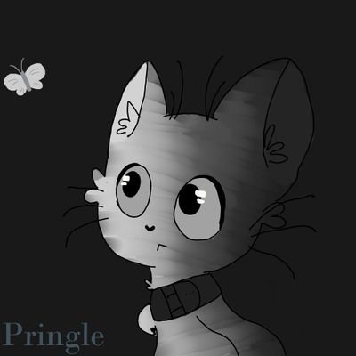 I'm obsessed with Warrior cats and just cats in particular....I also like potatoes....don't ask.