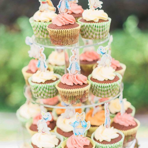 admin282's profile picture. 