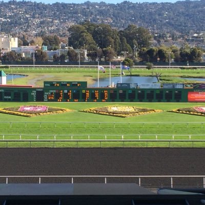 I give picks and tweet about sports and horses. Bay Area sports fan. Go to track Golden Gate Fields but will talk about others too