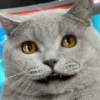 Truth Cat (@truthfactorycat) 's Twitter Profile