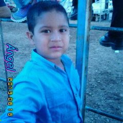 angelfreff's profile picture. 