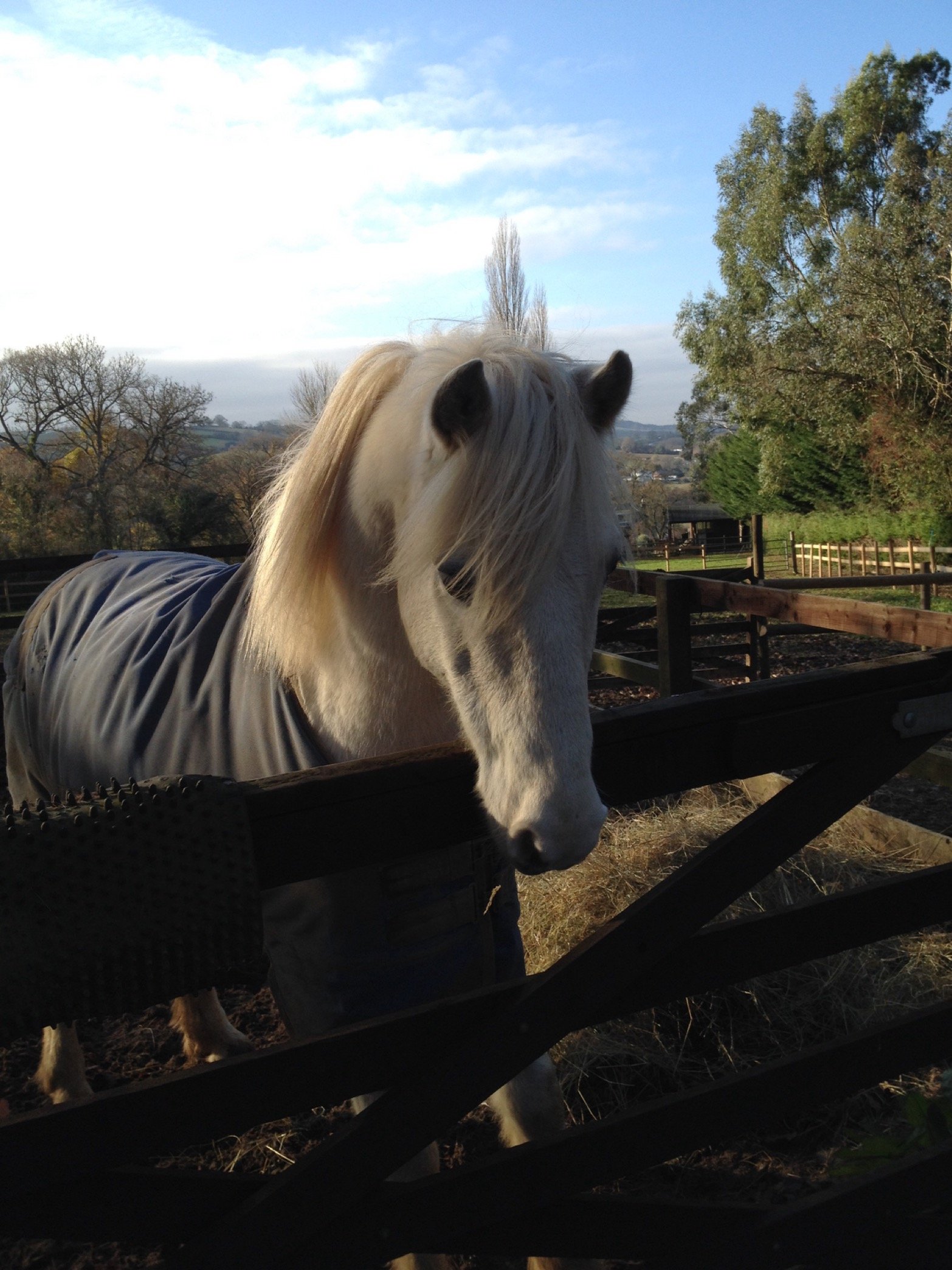 lyndsbrown92's profile picture. 27 yrs old 5ft2 🇬🇧👩‍⚕️ She/Her Parkinson’s nurse in training