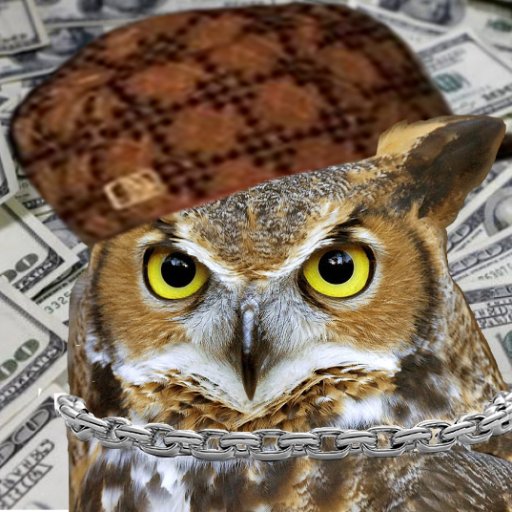 FilthyCashOwl's profile picture. Know nothing day trader. The noobiest, Scum of the Earth casual player. love me some bad puns, and pictures of horrendous food. Anime is ok too. GO COOGS!