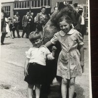 Andrew Puddephatt (@andrewpuddephat) 's Twitter Profile