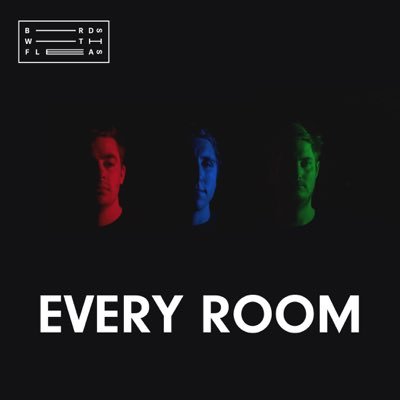 BirdsWithFleas's profile picture. indie rock I guess