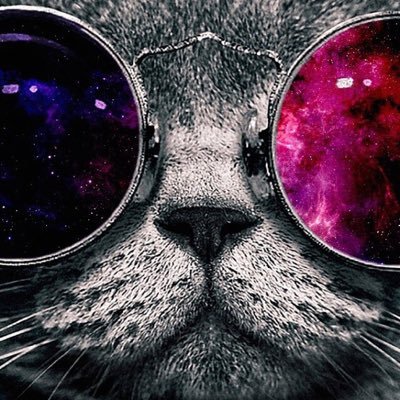 PUBG垢 PUBGやってる方無言フォローします 気軽にお誘いください。でゅおメインでやってます。 その他 splatoon2 S+50