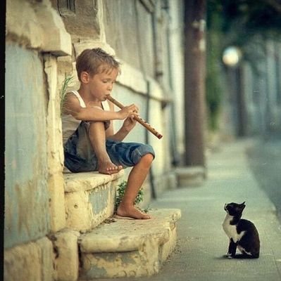 43383c40f232484's profile picture. 