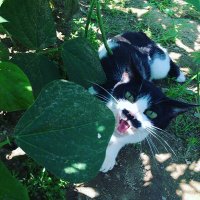 akk (@akk2232) 's Twitter Profile